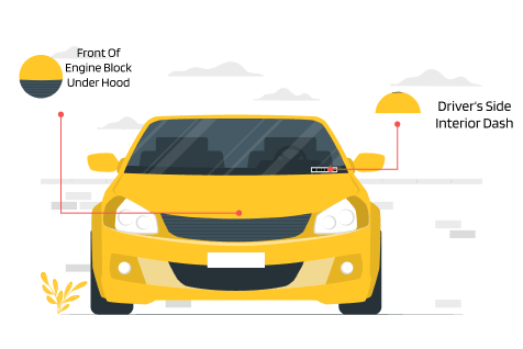 Locate VIN - Front view